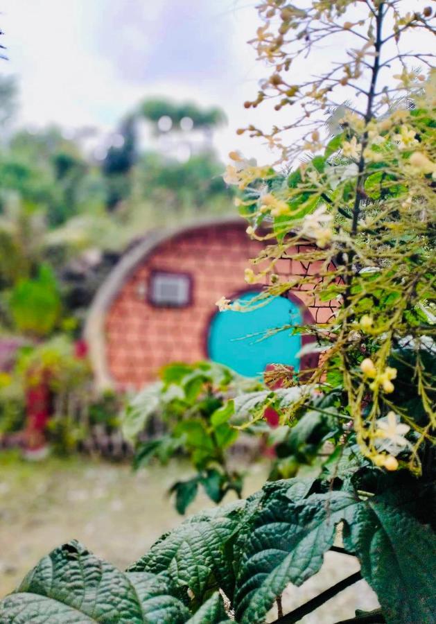 Campsite Kamp Aninipot Siquijor